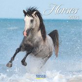 Horses Kalender 2021 (formaat 30x30)