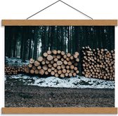 Schoolplaat – Opgestapeld hout in het Bos - 40x30cm Foto op Textielposter (Wanddecoratie op Schoolplaat)