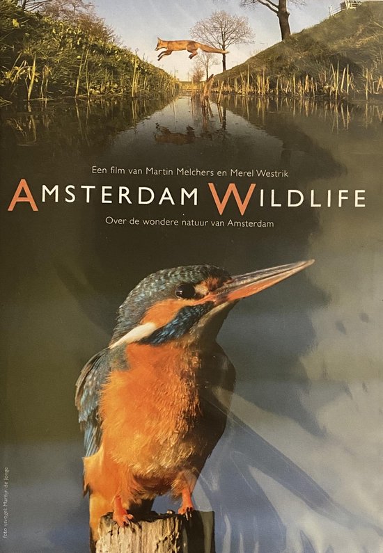 Amsterdam Wildlife over de wondere natuur van Amsterdam