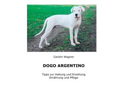 Dogo Argentino: Tipps zur Haltung und Erziehung, Ernährung und Pflege