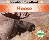 Animals of North America - Moose
