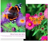 Leonard Smith Notecards ~ Kaartenmapje Vlinders