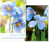 Leonard Smith Notecards ~ Kaartenmapje Meconopsis
