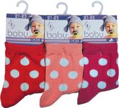 Baby sokjes - maat 21/23 - 12 paar - met Anti-slip         chaussettes socks
