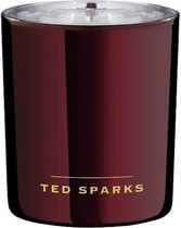 Ted Sparks - Geurkaars Demi - 60 Branduren - 1 Lont - Luxe Verpakking - Birch & Patchouli