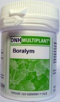 DNH Multiplant Boralym Tabletten 140TB