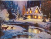 Peha Muurdecoratie Winter Led 40 X 30 Cm Canvas Wit