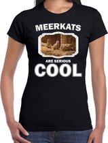 Dieren stokstaartjes t-shirt zwart dames - meerkats are serious cool shirt - cadeau t-shirt stokstaartje/ stokstaartjes liefhebber L