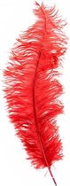 Witbaard Struisveer 50-60 Cm Rood