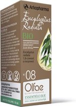Olfae Eucalyptus radiata 08 10 ml