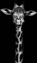 Plexiglas Giraffe 80 x 120 cm op Plexiglas incl. luxe ophangframe