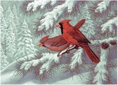 Schilderen op nummer - Paint by numbers - Dieren - Twee rode vogels 28,6x39cm - Schilderen op nummer volwassenen - Paint by numbers volwassenen