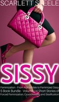 Sissy Feminization From Alpha Male to Feminized Sissy 5 Book Bundle Volume 14 Short Stories of Forced Feminization, Crossdressing and Sissification