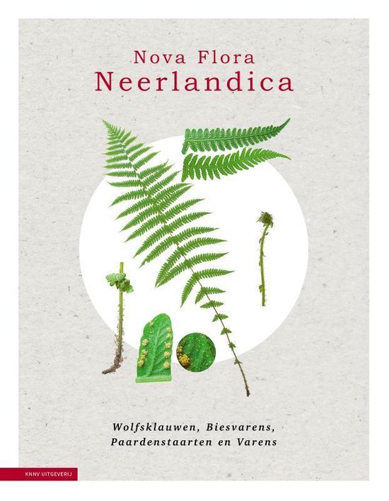 Nova Flora Neerlandica  -   Nova Flora Neerlandica