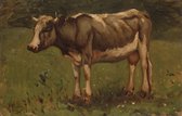 Schilderij - Anton Mauve, Koe, 1860 - 1888, reproductie, 90x60cm