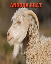 Angora Goat