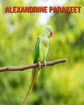 Alexandrine Parakeet