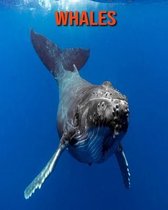Whales