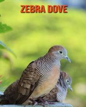 Zebra Dove