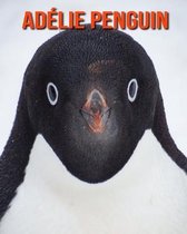 Adelie Penguin