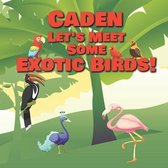 Caden Let's Meet Some Exotic Birds!