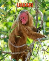 Uakari