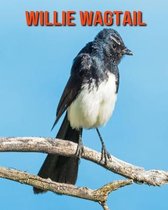 Willie Wagtail