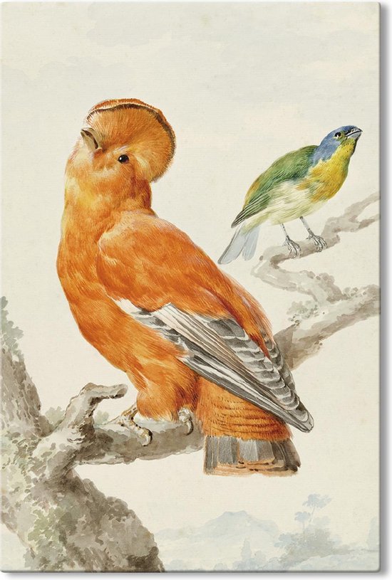 Canvas Schilderij Twee Exotische Vogels - Aert Schouman - 60x90 cm