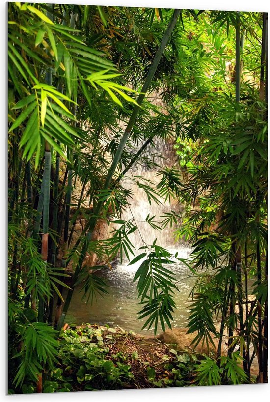 Dibond - Bamboe met Waterval op de Achtergrond  - 80x120cm Foto op Aluminium (Met Ophangsysteem)