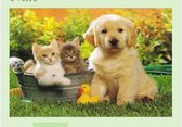 Diamond Painting Pup met kittens 30x40 Vierkante steentjes