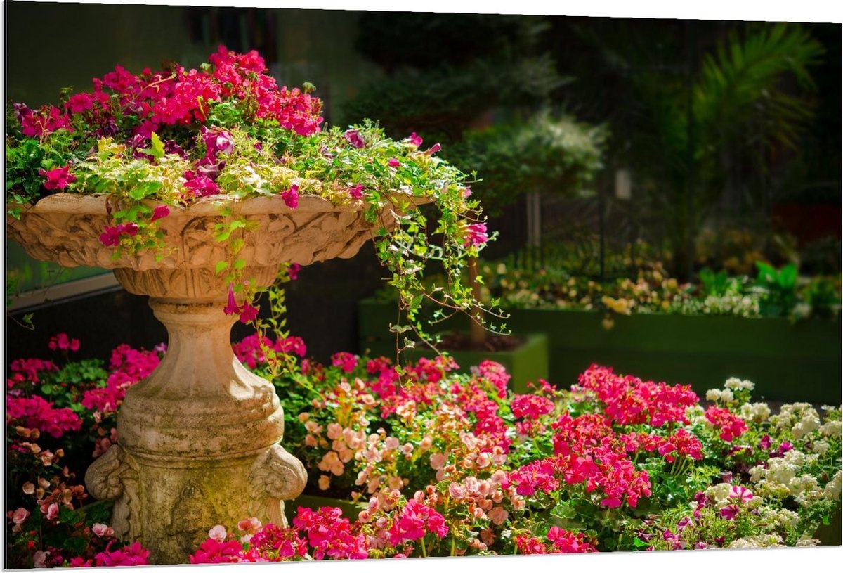 Dibond - Roze Bloemenstruik met Fontein - 120x80cm Foto op Aluminium (Met Ophangsysteem)