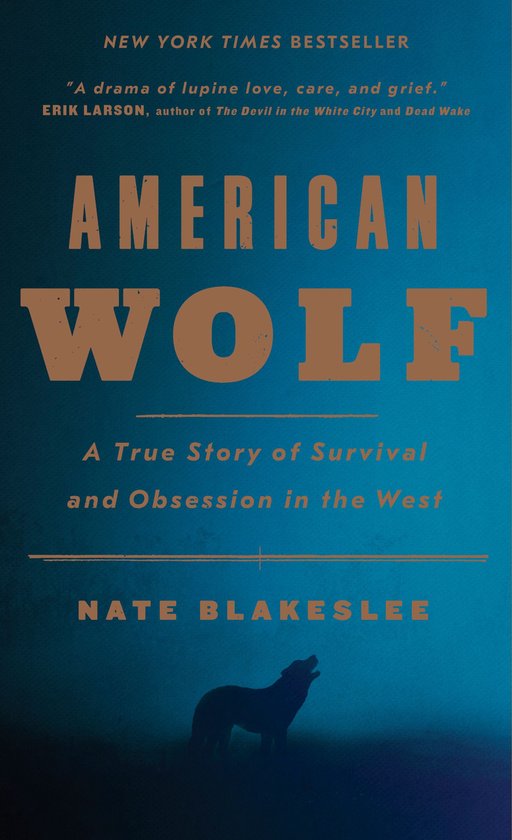 American Wolf - cover