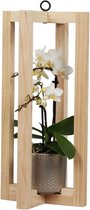 Orchidee | Trésor Pallisade met zilveren pot  | Living Collection