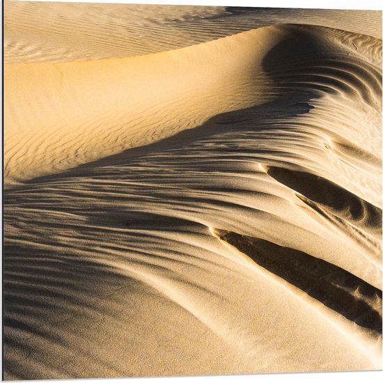 Dibond - Close Up Woestijn Zand - 80x80cm Foto op Aluminium (Wanddecoratie van metaal)