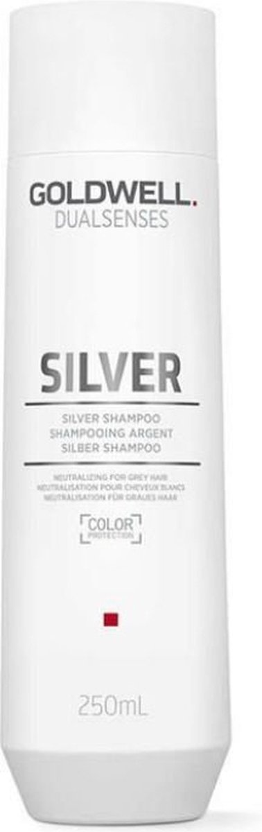 Resultaat Tegenover Perforatie Goldwell Dualsenses Silver Silver Shampoo 250 ml | bol.com