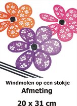 Windmolentje bloem