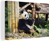 Canvas Schilderij Panda - Hout - Bamboe - 90x60 cm - Wanddecoratie