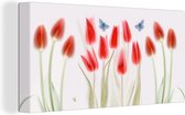 Canvas Schilderij Afbeelding van rode tulpen - 40x20 cm - Wanddecoratie