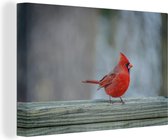 Un cardinal rouge est assis sur une balustrade Toile 90x60 cm - Tirage photo sur toile (Décoration murale salon / chambre)