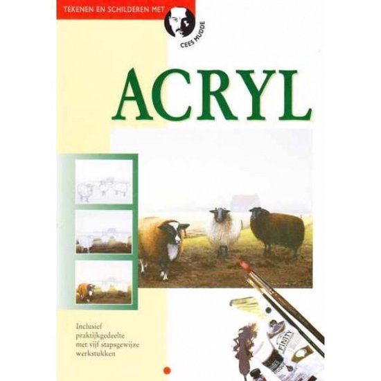 C. Mudde - Acryl / Tekenen en schilderen met Cees Mudde