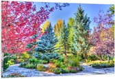 Tuinposter – Gekleurde Bomen bij Elkaar - 150x100cm Foto op Tuinposter  (wanddecoratie voor buiten en binnen)