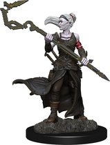 Magic the Gathering: Unpainted Miniatures - Stoneforge Mystic and Kor Hookmaster