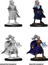 Dungeons and Dragons Miniatures - Nolzur's Marvelous - Human Female Sorcerer - Miniatuur - Ongeverfd
