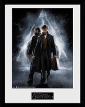 Framed collector print poster 30 x 40cm Fantastic Beasts 2 Nifflers