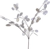 Tak plc l22b5h75 cm champagne