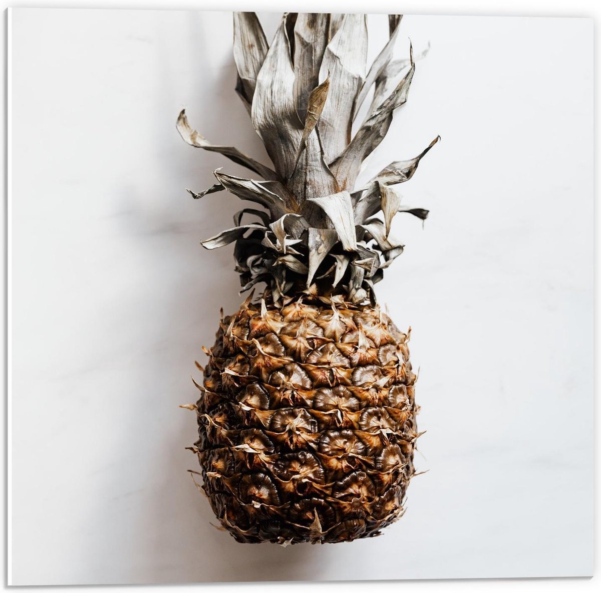 Forex - Gele Ananas op Witte Achtergrond - 50x50cm Foto op Forex