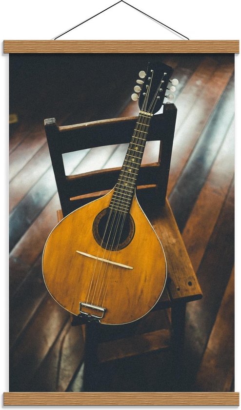 Schoolplaat – Mandoline Muziekinstrument - 40x60cm Foto op Textielposter (Wanddecoratie op Schoolplaat)