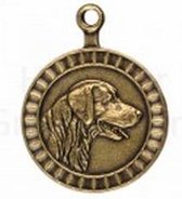 Hondenpenning - Rashond Golden Retriever