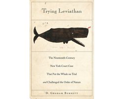 Trying Leviathan