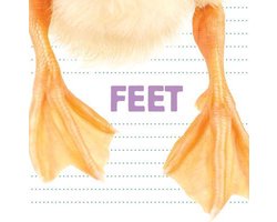 Feet